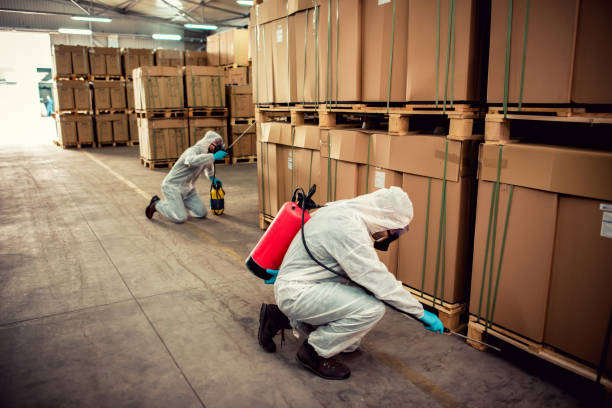 Best Cockroach Control Services  in Derby, CO