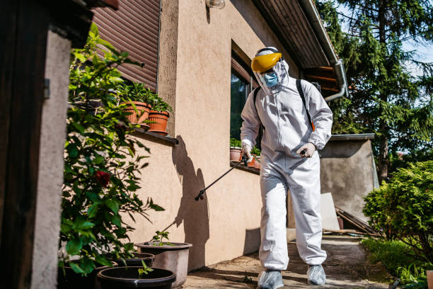 Best Local Pest Control Services  in Derby, CO