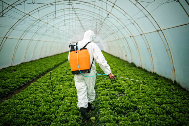 Best Residential Pest Control  in Derby, CO