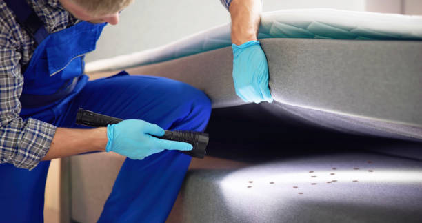 Pest Control for Restaurants in Derby, CO